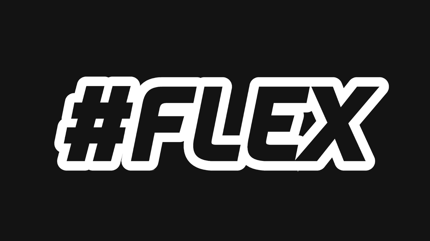 #FLEX sticker - Large